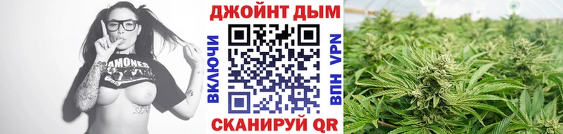 Бошки Шишки VHQ  Суворов 
